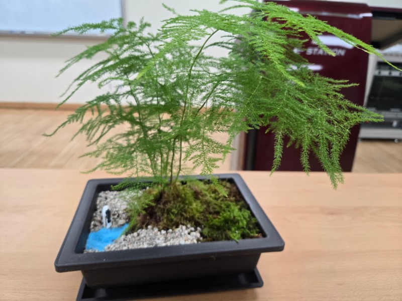 KakaoTalk_20260327_141049963.jpg